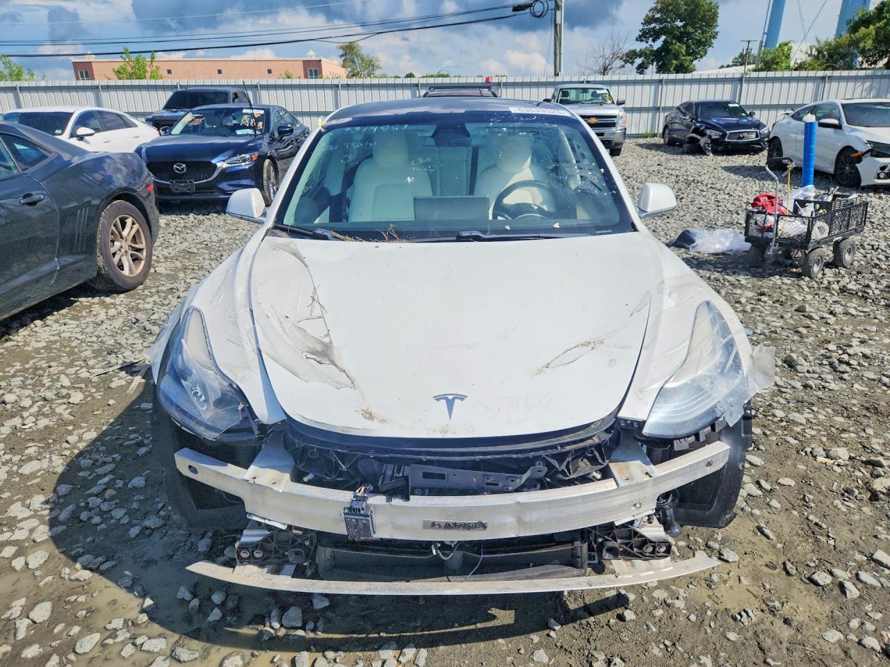 2020 TESLA MODEL 3 — Фото 5 из 12