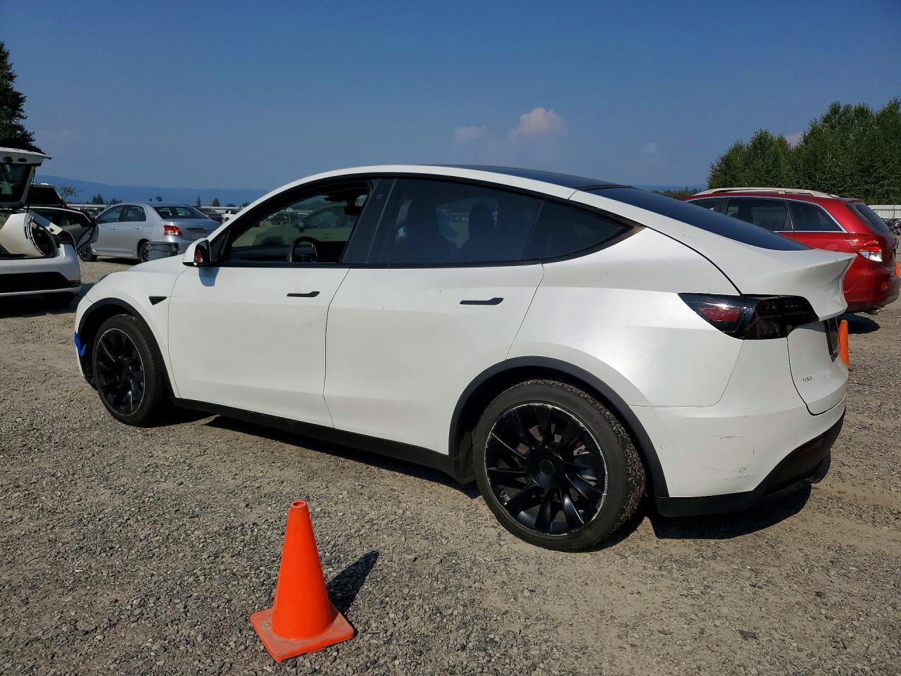 2020 TESLA MODEL Y — Фото 2 из 13