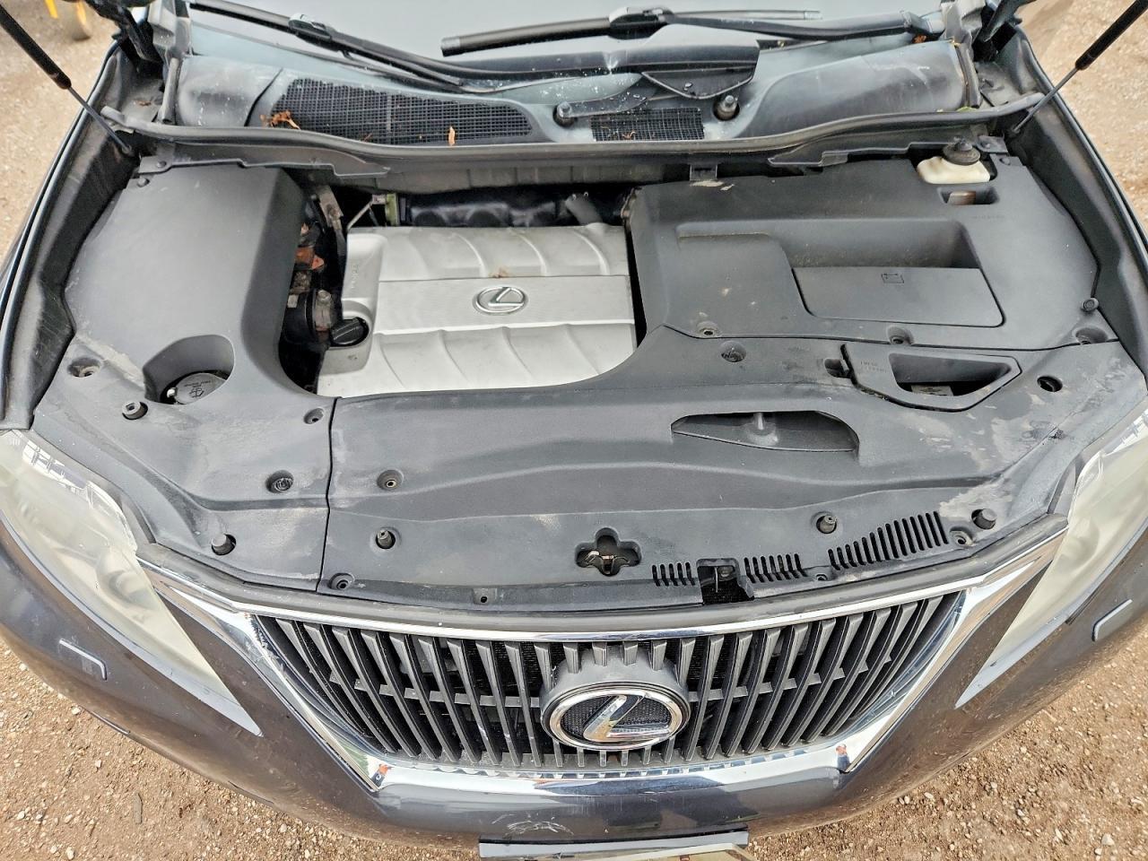 2010 LEXUS RX 350 — Фото 12 из 13