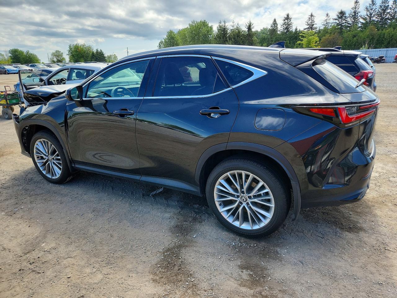 2025 LEXUS NX 350 PREMIUM — Фото 2 из 13