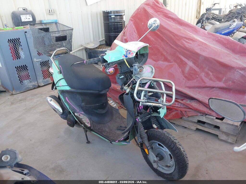 RFVPAC20491009176 2009 GENUINE SCOOTER CO. BUDDY photo no. 1