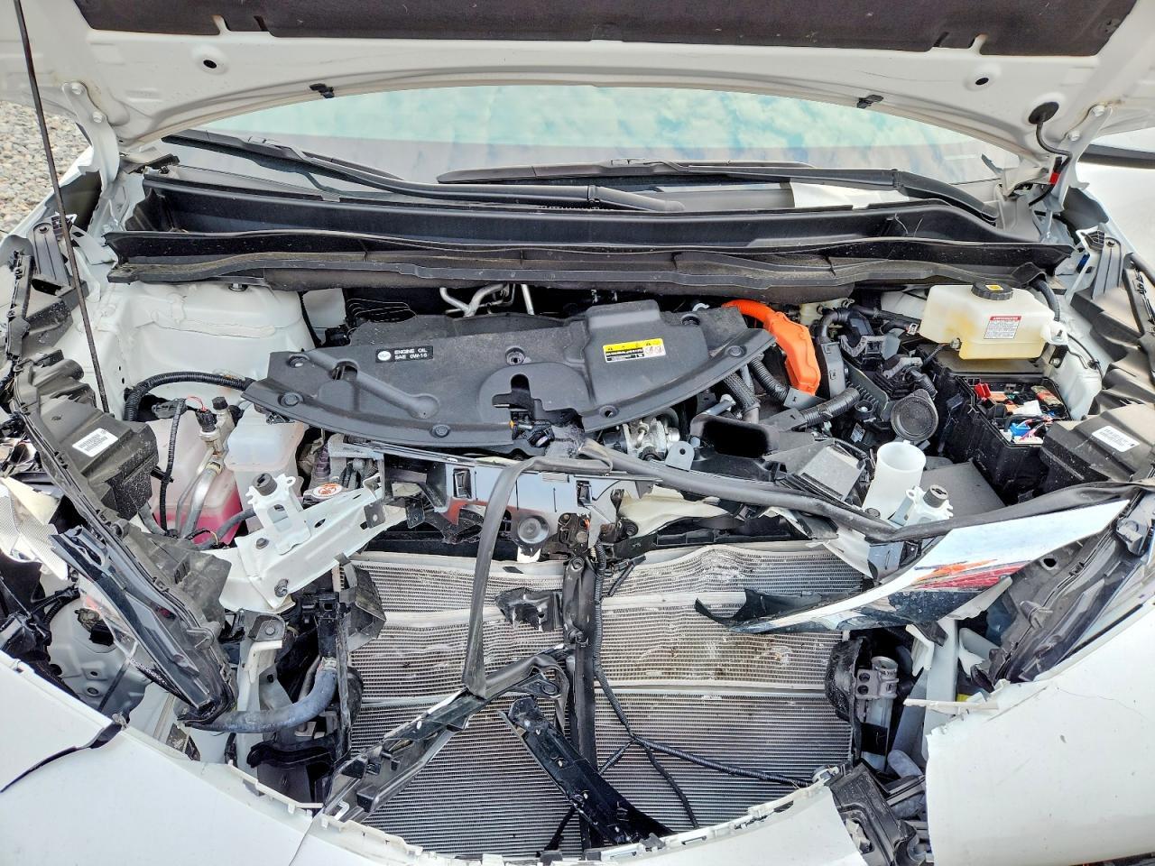 2025 TOYOTA SIENNA XLE 7-PASSENGER — Фото 12 из 13