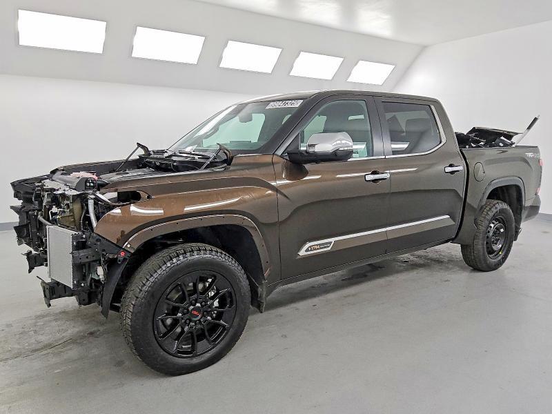 2025 TOYOTA TUNDRA 5TFMA5DB9SX317356