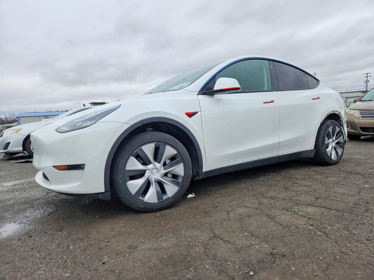 2021 TESLA MODEL Y