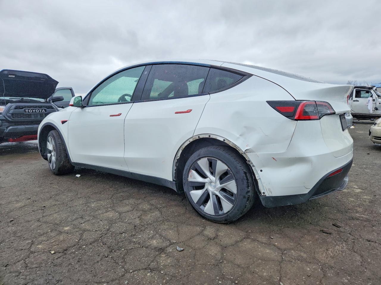 2021 TESLA MODEL Y — Фото 2 из 12