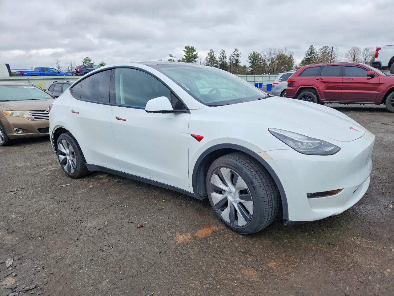 2021 TESLA MODEL Y — Фото 4 из 12
