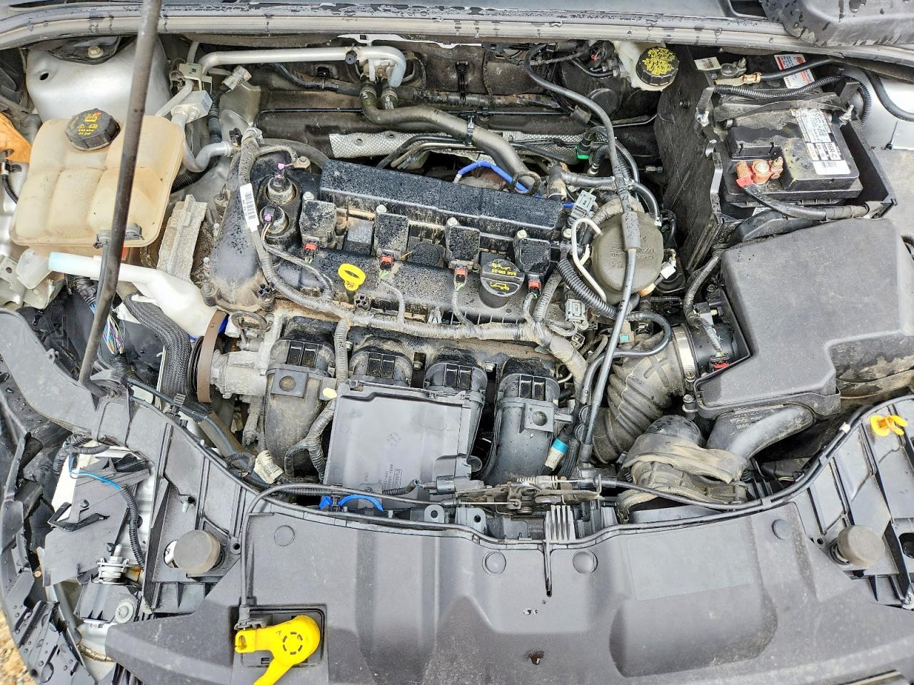 1FADP3J29EL143040 2014 FORD FOCUS photo no. 11