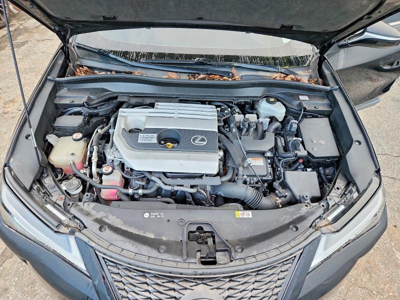 2014 LEXUS LS 460L — Фото 11 из 12