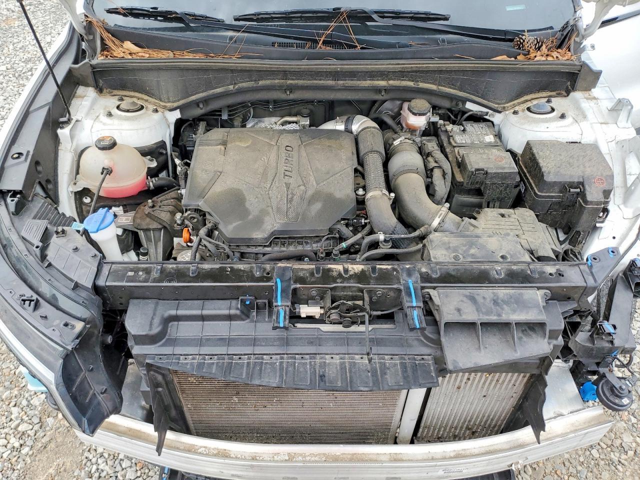 5XYRKDLF3NG154910 2022 KIA SORENTO photo no. 11
