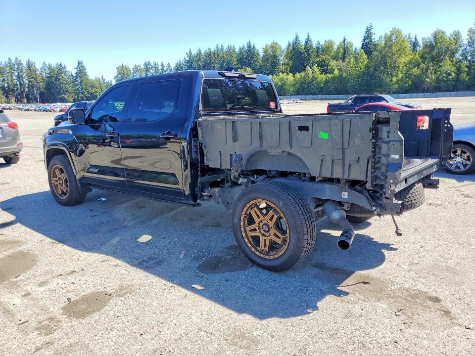 2022 TOYOTA TUNDRA PLATINUM HV — Фото 2 из 13