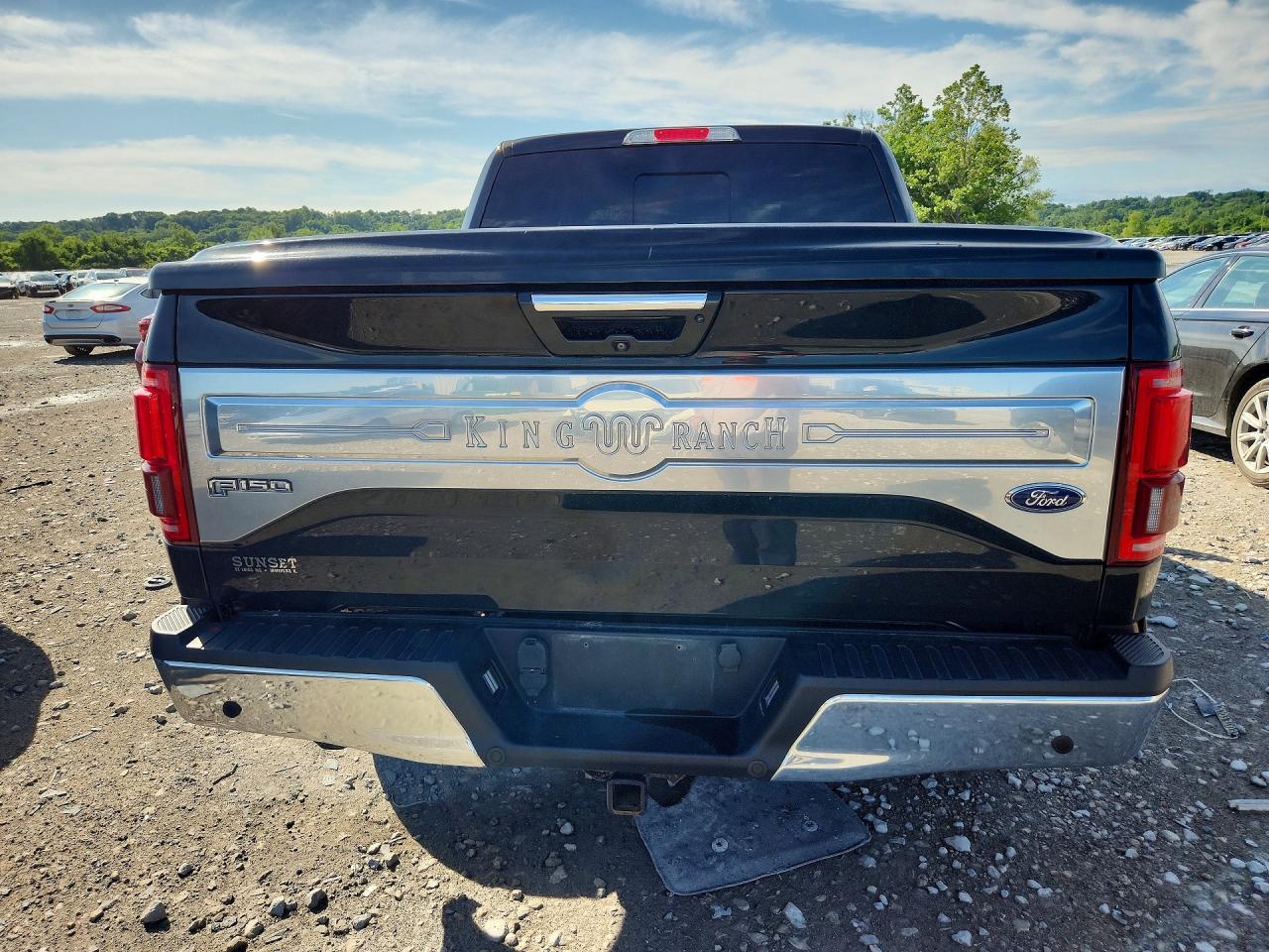 1FTEW1EG0FFC61764 2015 FORD F150 photo no. 6