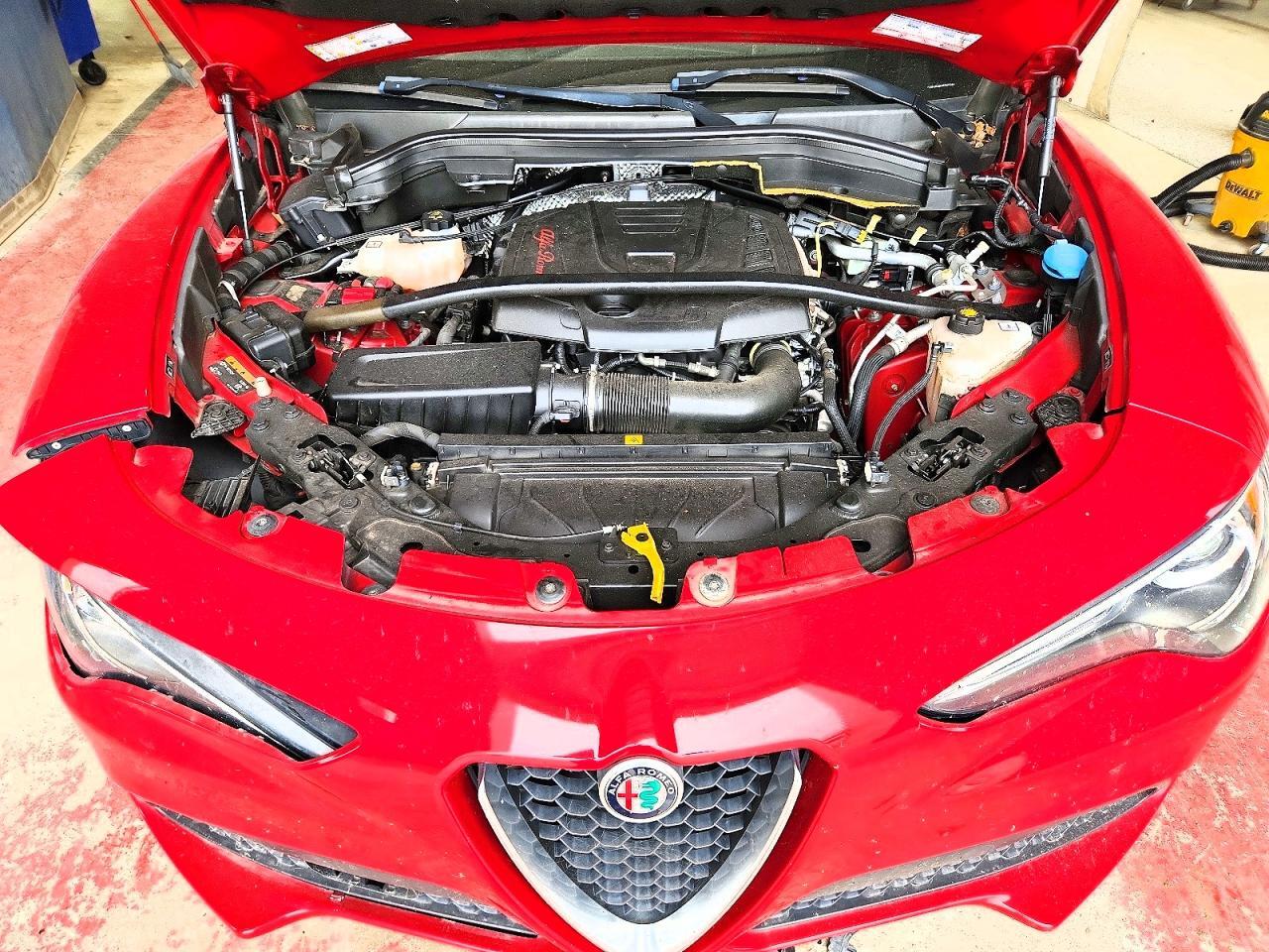 2019 ALFA ROMEO STELVIO — Фото 12 из 13