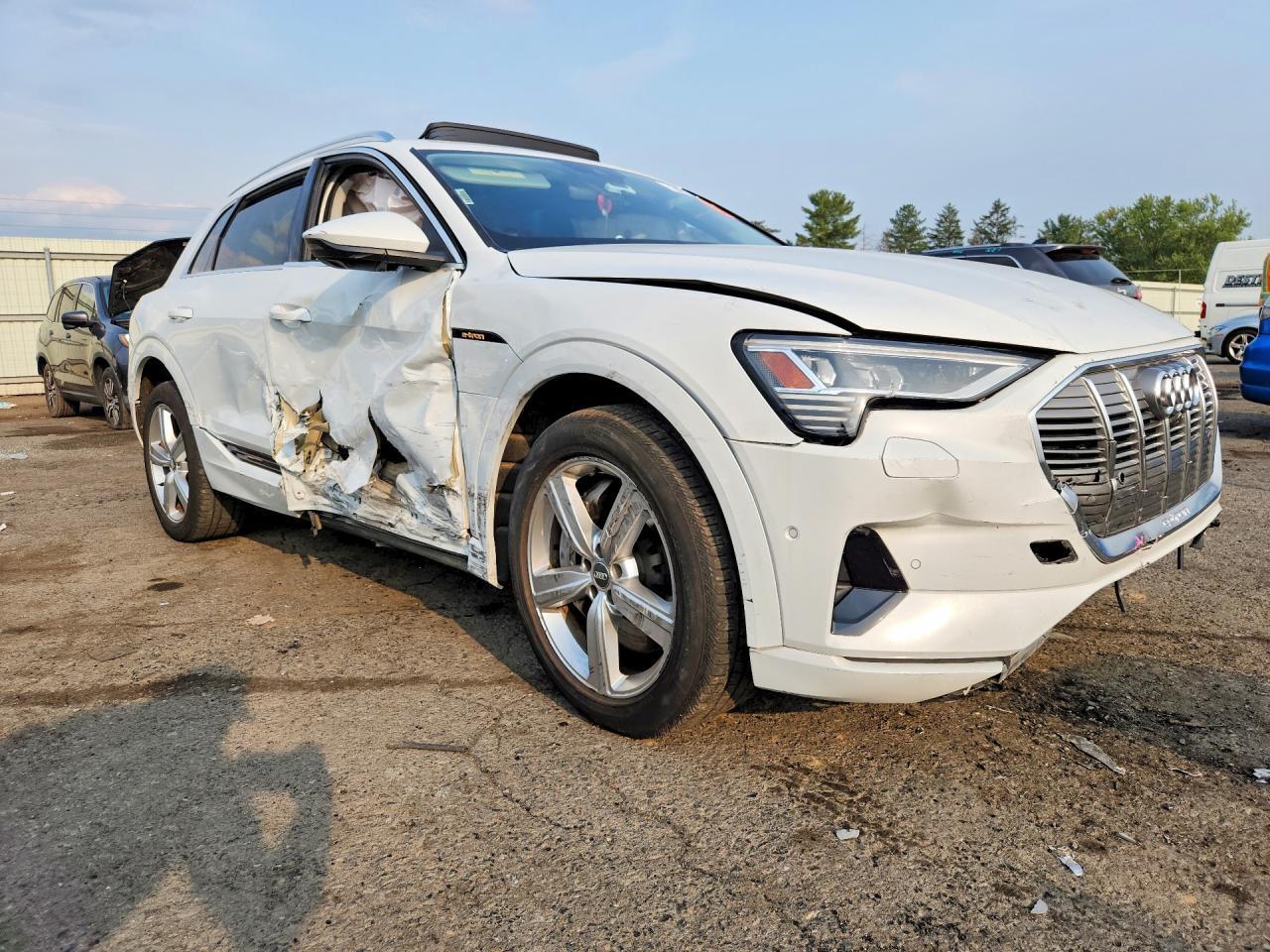 2019 AUDI E-TRON PREMIUM PLUS — Фото 4 из 12