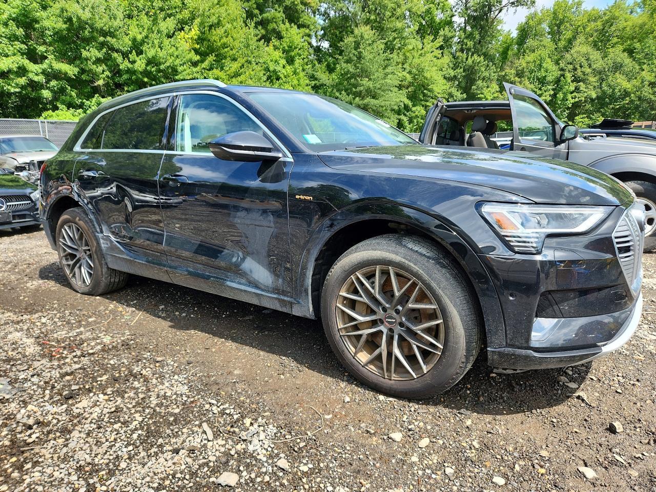 2019 AUDI E-TRON PRESTIGE — Фото 4 из 13