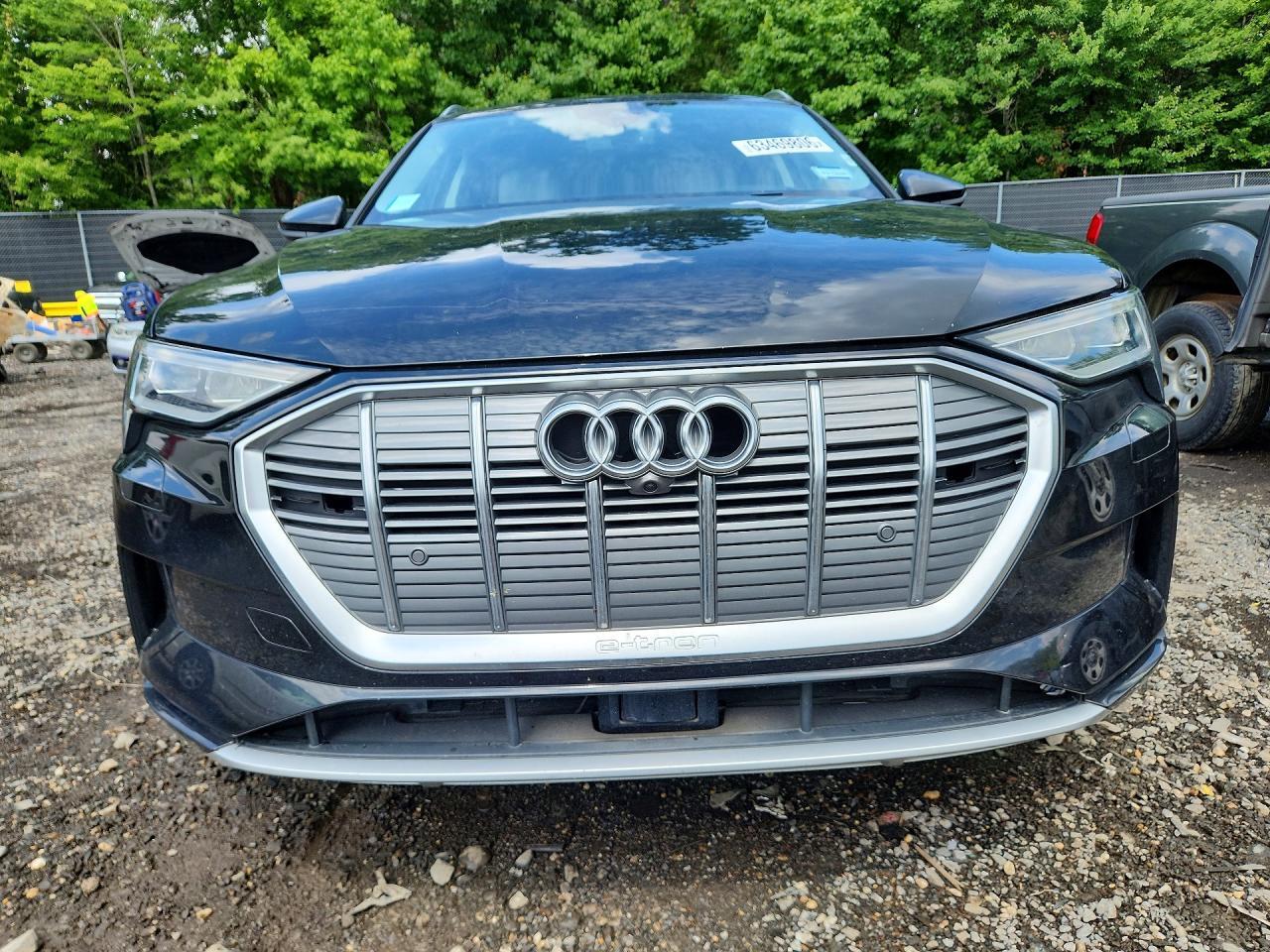 2019 AUDI E-TRON PRESTIGE — Фото 5 из 13