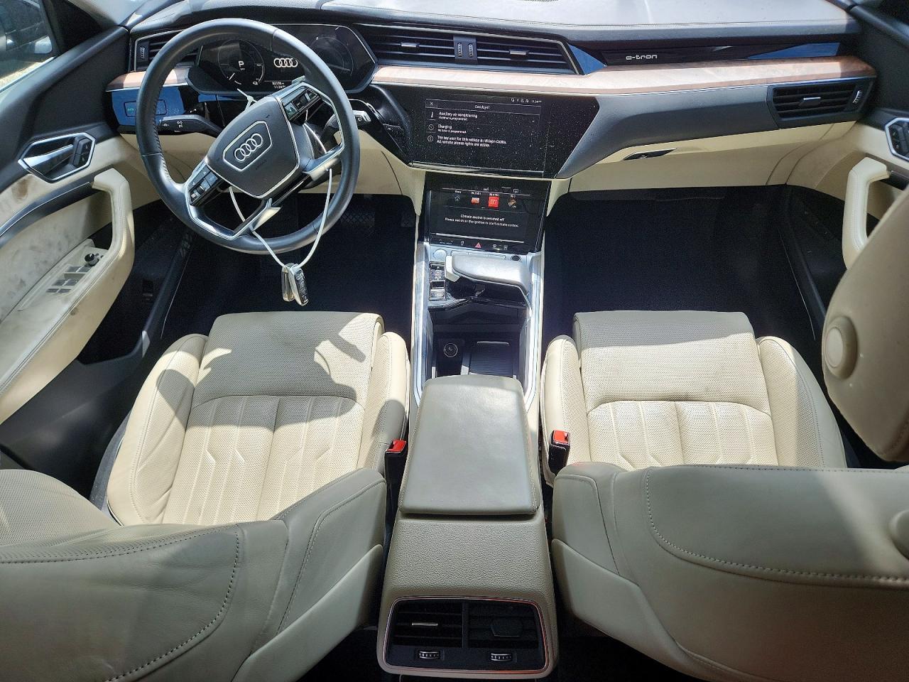2019 AUDI E-TRON PRESTIGE — Фото 8 из 13