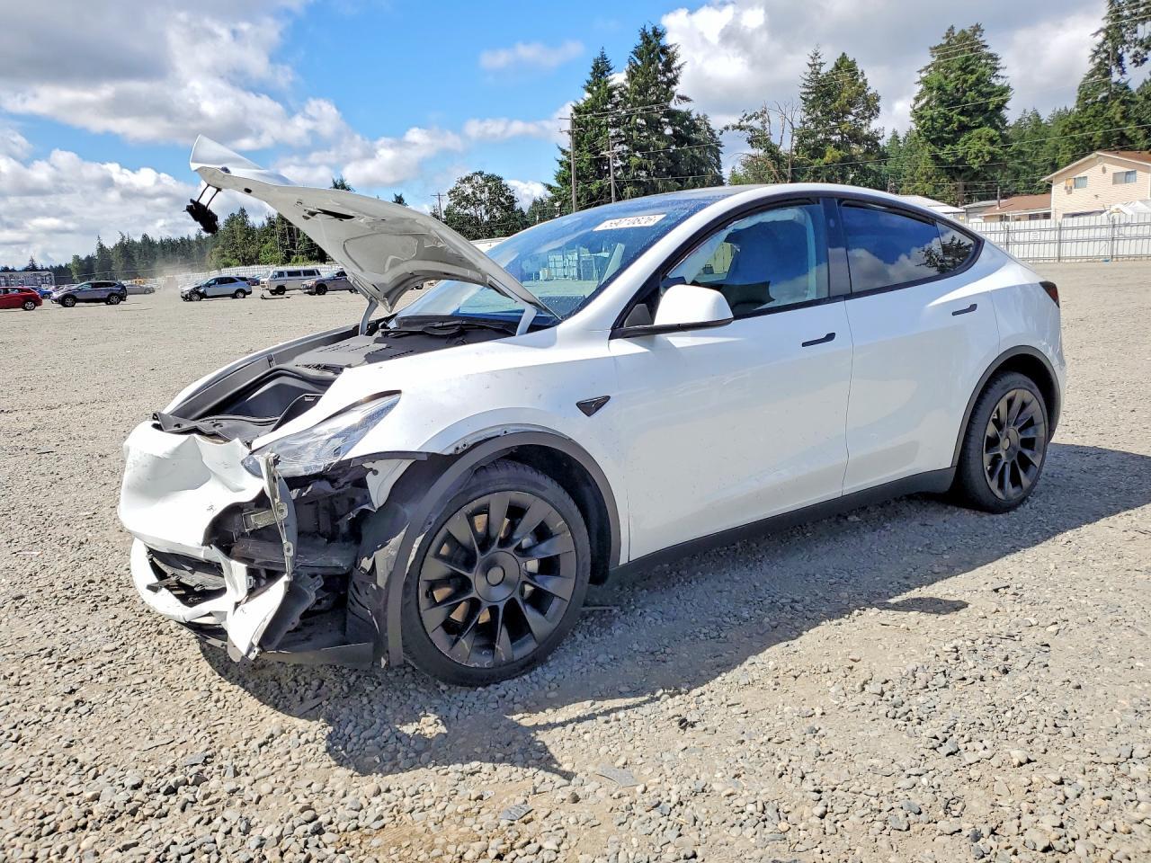 7SAYGDEE1PA145747 2023 TESLA MODEL Y photo no. 1