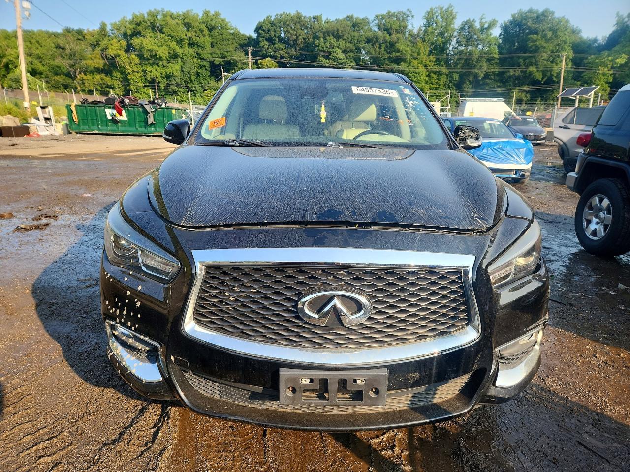 2019 INFINITI QX60 PURE — Фото 5 из 12
