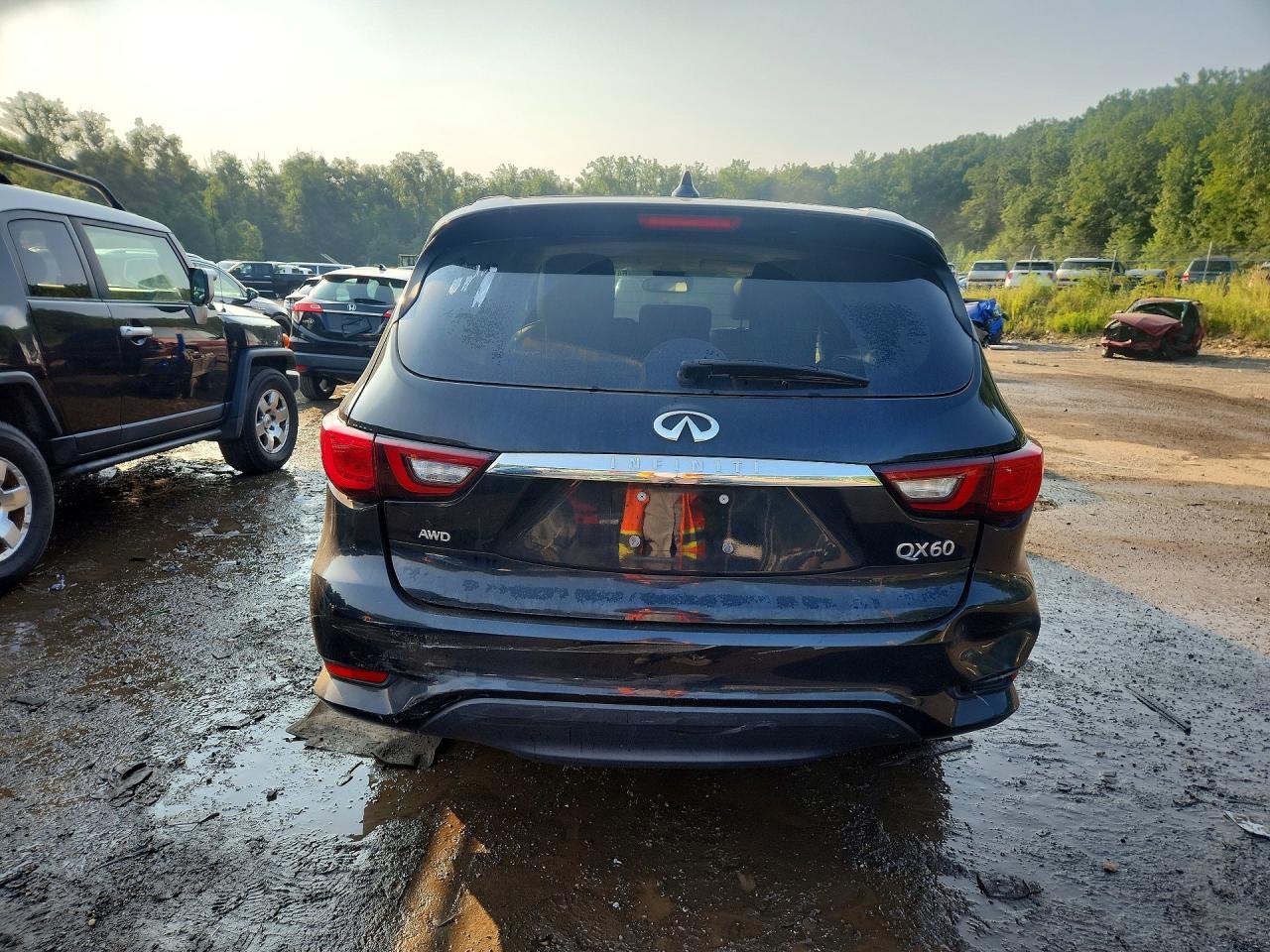 2019 INFINITI QX60 PURE — Фото 6 из 12