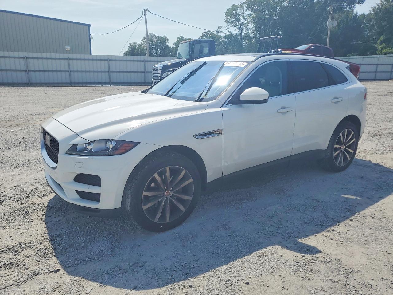 2019 JAGUAR F-PACE SADCK2FX2KA361111