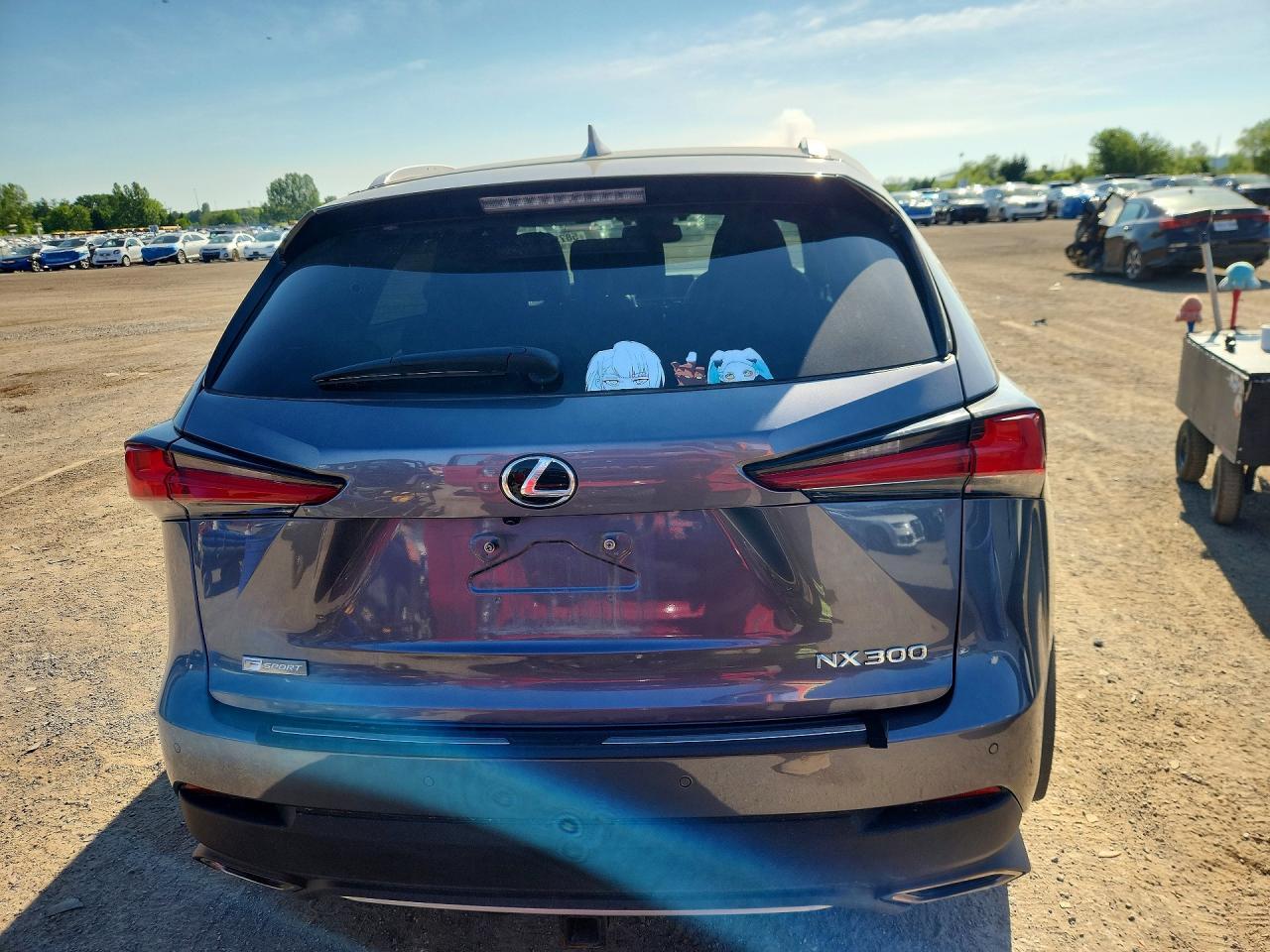 2019 LEXUS NX 300 BASE — Фото 6 из 14