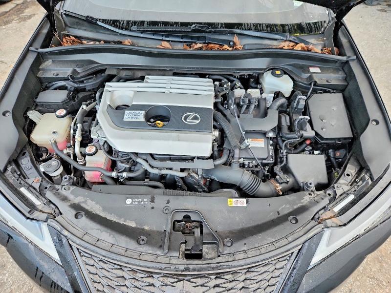 2019 LEXUS UX 250H — Фото 11 из 12