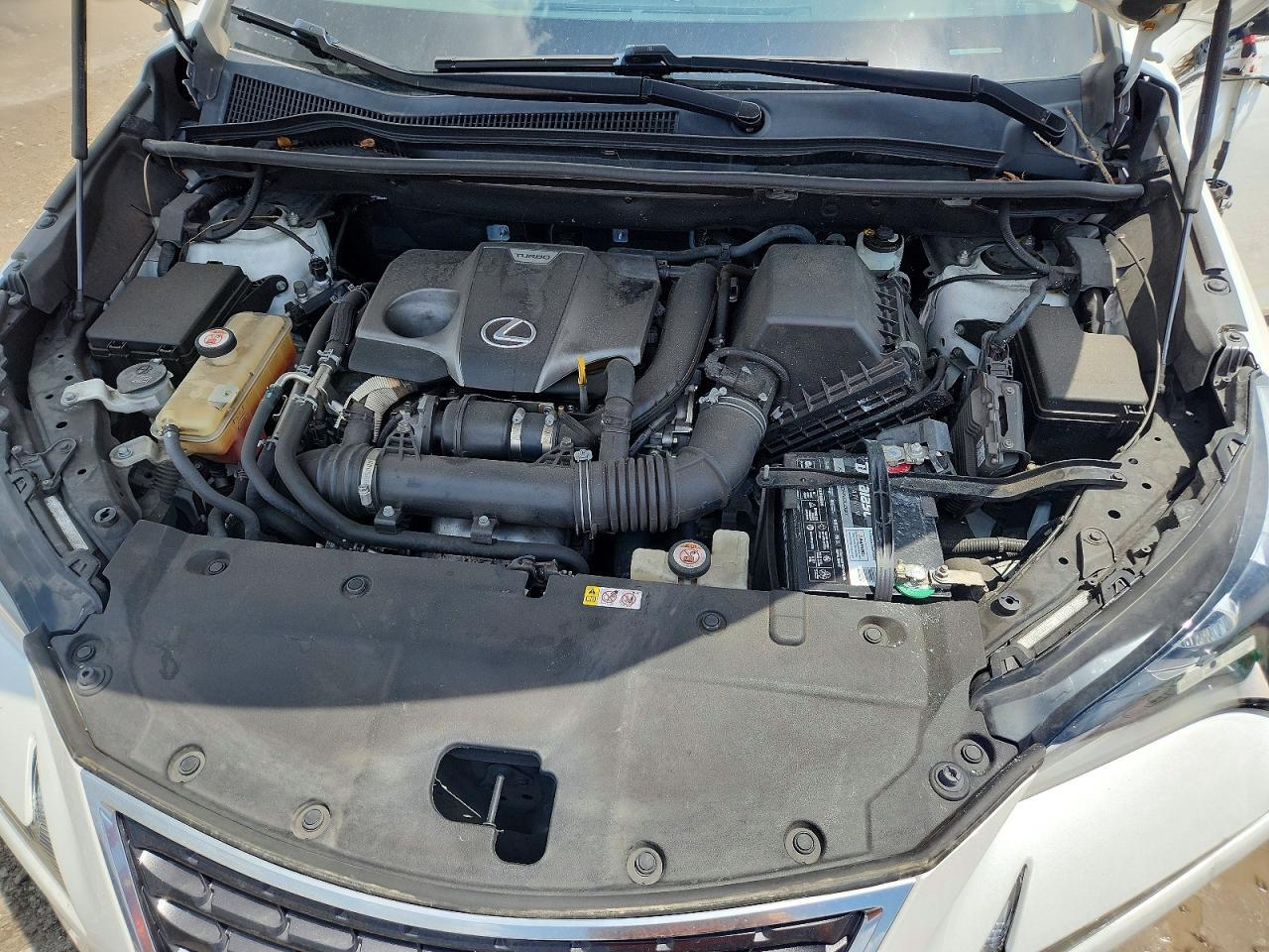 2019 LEXUS NX 300 BASE — Фото 12 из 14