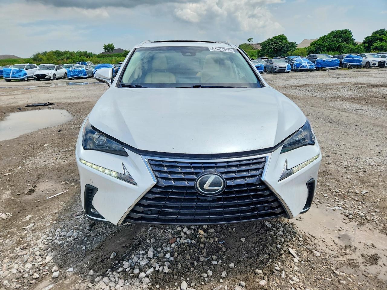 2019 LEXUS NX 300 BASE — Фото 5 из 14
