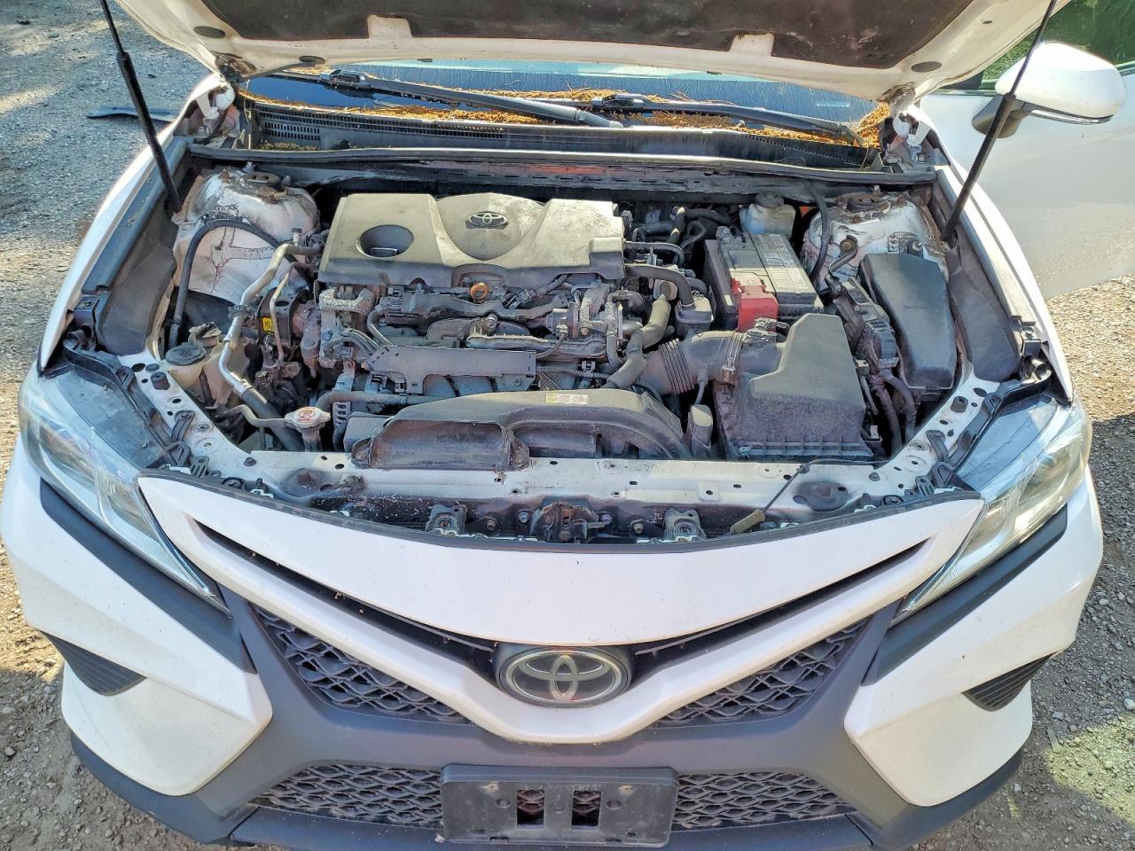 2019 TOYOTA CAMRY L — Фото 11 из 12