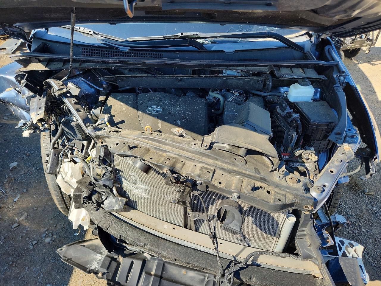 2019 TOYOTA HIGHLANDER XLE — Фото 12 из 14