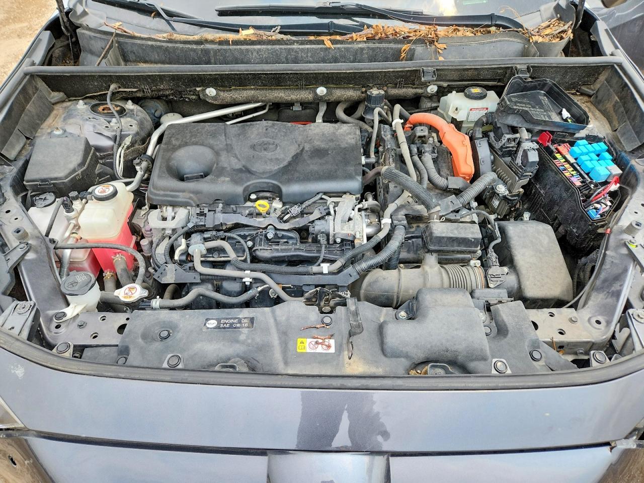 JTMEWRFVXKJ005229 2019 TOYOTA RAV4 photo no. 12