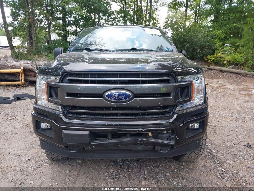 1FTFX1E44KKF21043 2019 FORD F-150 photo no. 12