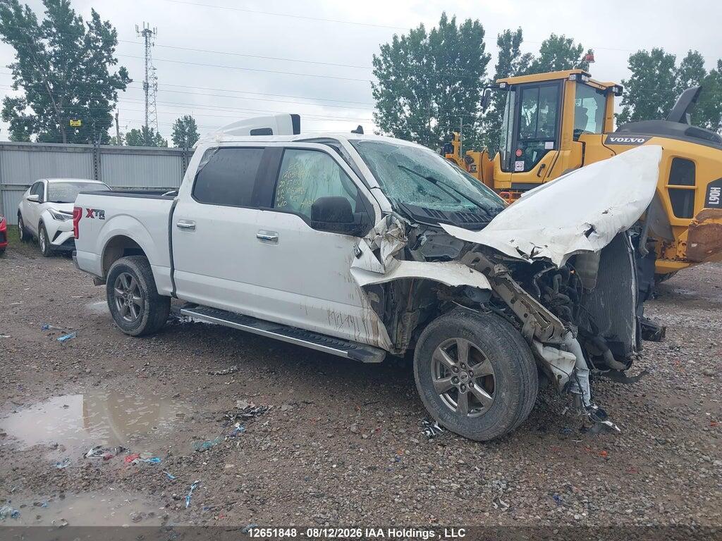 2020 FORD F-150 1FTEW1E5XLFC67985