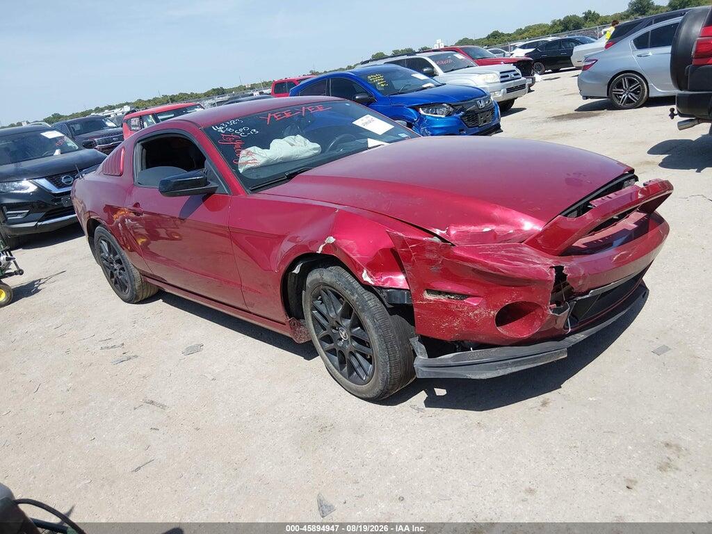 1ZVBP8AM3E5284462 2014 FORD MUSTANG photo no. 1