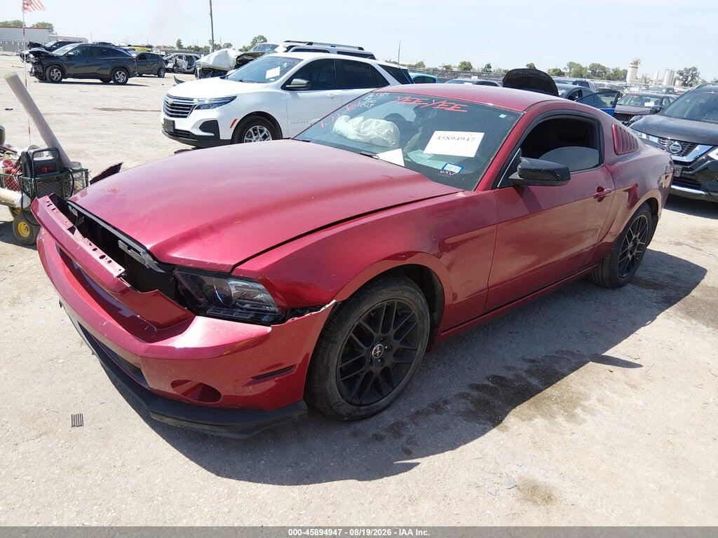 1ZVBP8AM3E5284462 2014 FORD MUSTANG photo no. 2