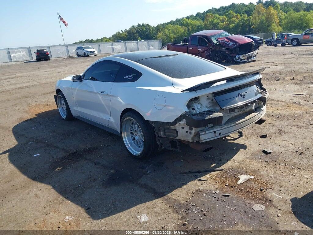 1FA6P8THXJ5165067 2018 FORD MUSTANG photo no. 3