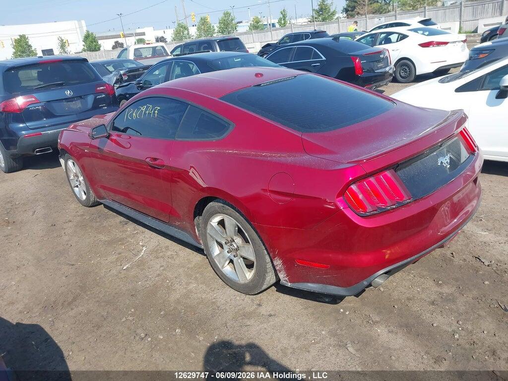 1FA6P8TH2F5300081 2015 FORD MUSTANG photo no. 3