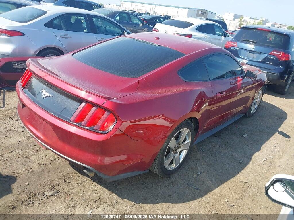 1FA6P8TH2F5300081 2015 FORD MUSTANG photo no. 4