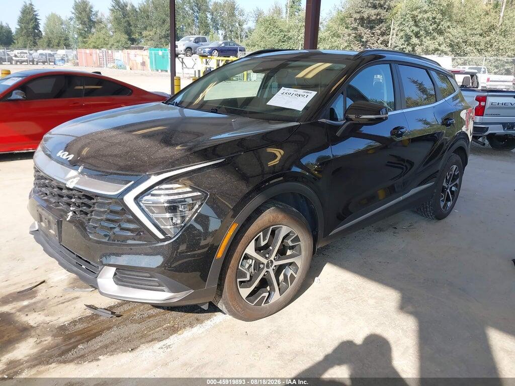 KNDPVCDG1R7126848 2024 KIA SPORTAGE HYBRID photo no. 2