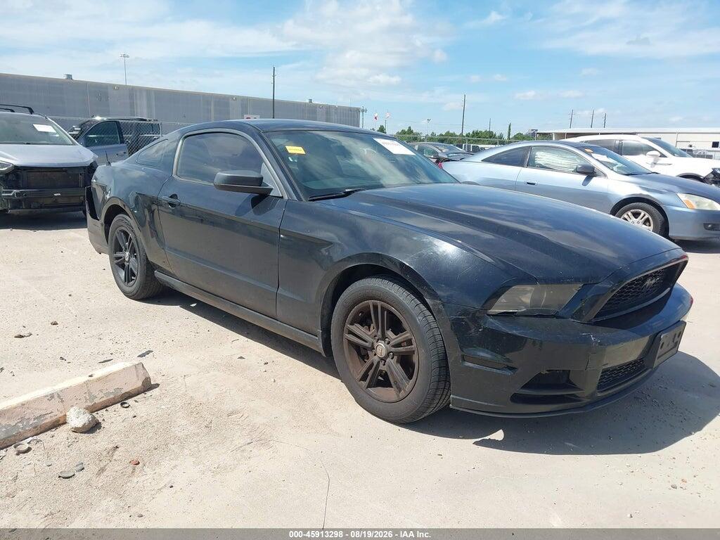 2013 FORD MUSTANG 1ZVBP8AMXD5276020