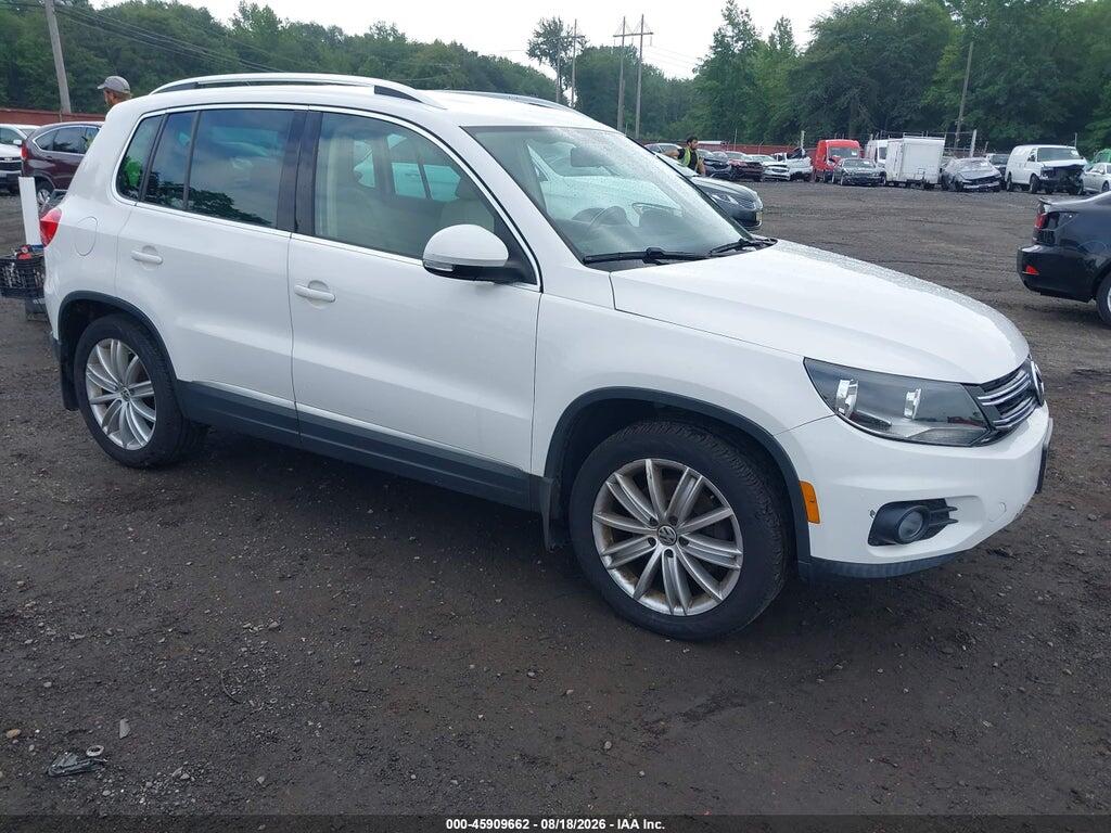 2013 VOLKSWAGEN TIGUAN WVGBV3AX1DW056311