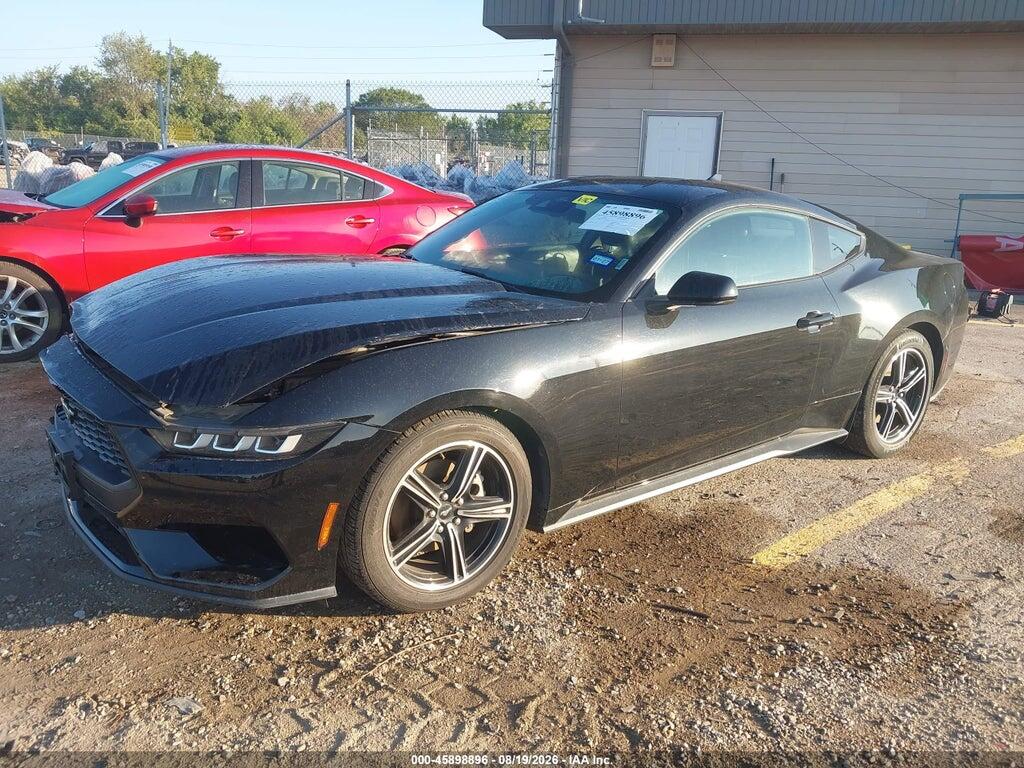 1FA6P8TH0R5107819 2024 FORD MUSTANG photo no. 2
