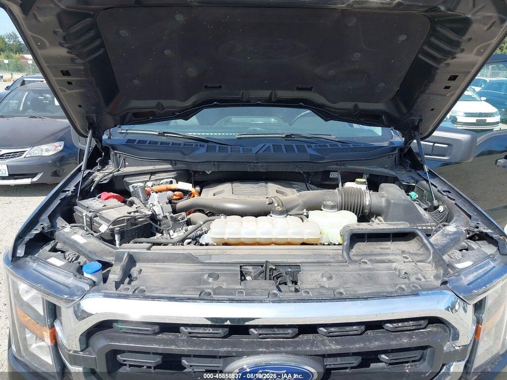 1FTFW1ED2PFB43372 2023 FORD F-150 photo no. 10