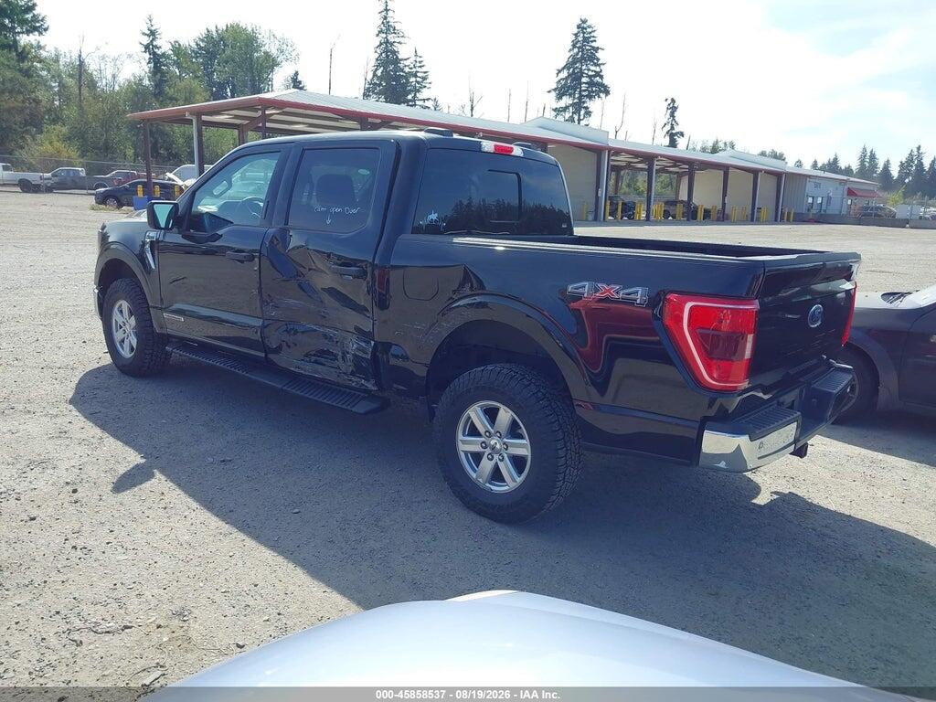 1FTFW1ED2PFB43372 2023 FORD F-150 photo no. 3
