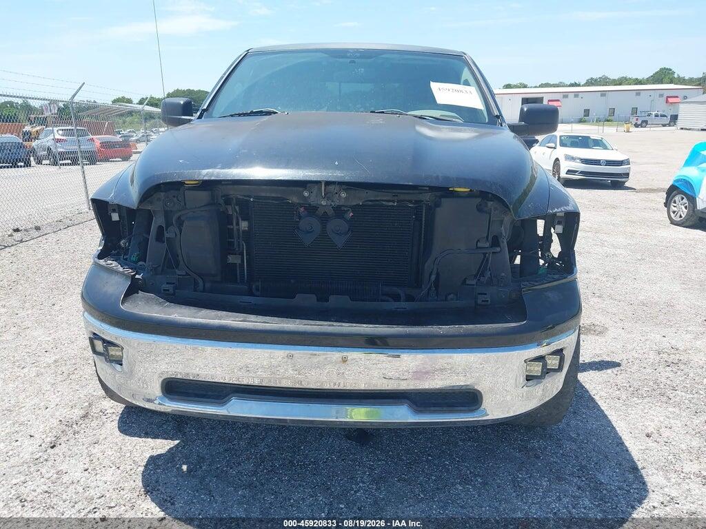 1D7RB1GP4AS110491 2010 DODGE RAM 1500 photo no. 6
