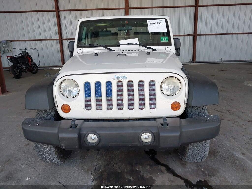 1J4AA2D13AL177006 2010 JEEP WRANGLER photo no. 6