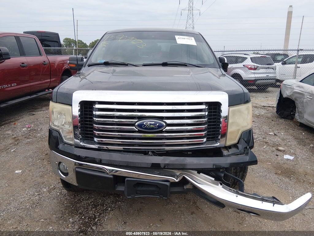 1FTEW1C8XAFA36384 2010 FORD F-150 photo no. 12
