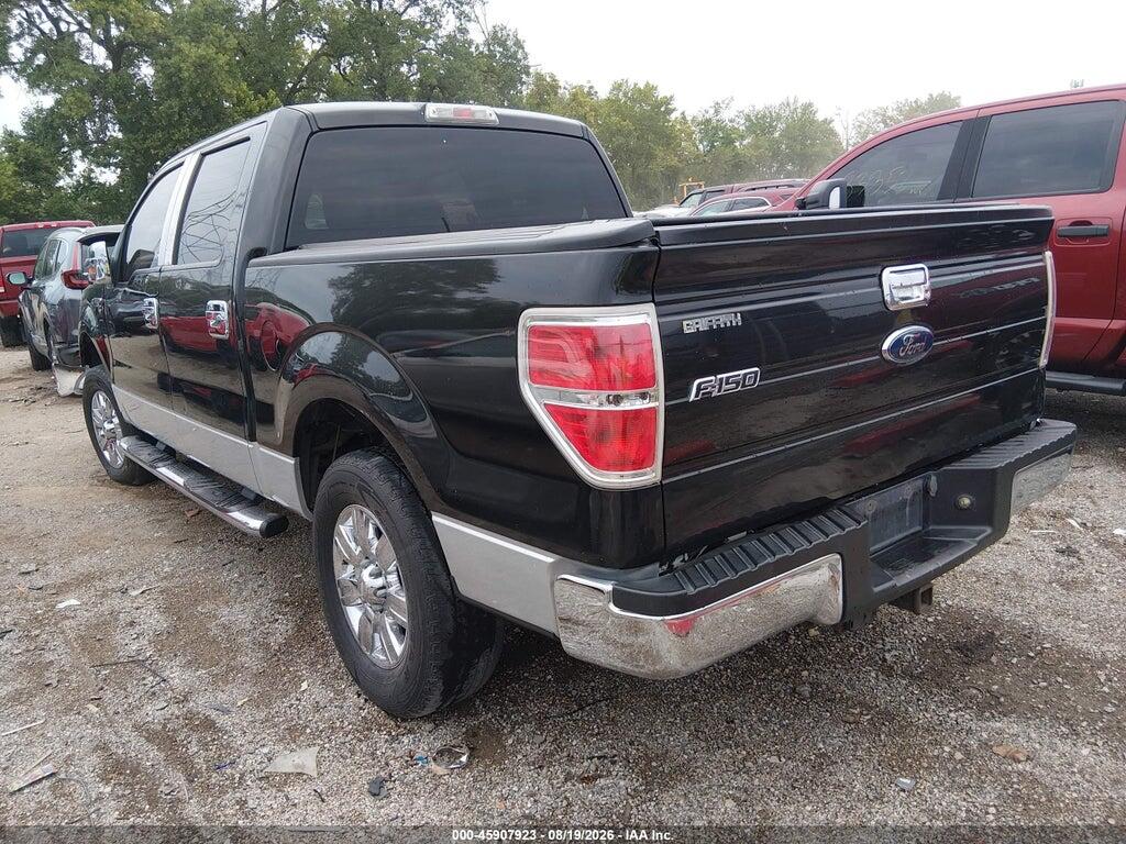 1FTEW1C8XAFA36384 2010 FORD F-150 photo no. 3