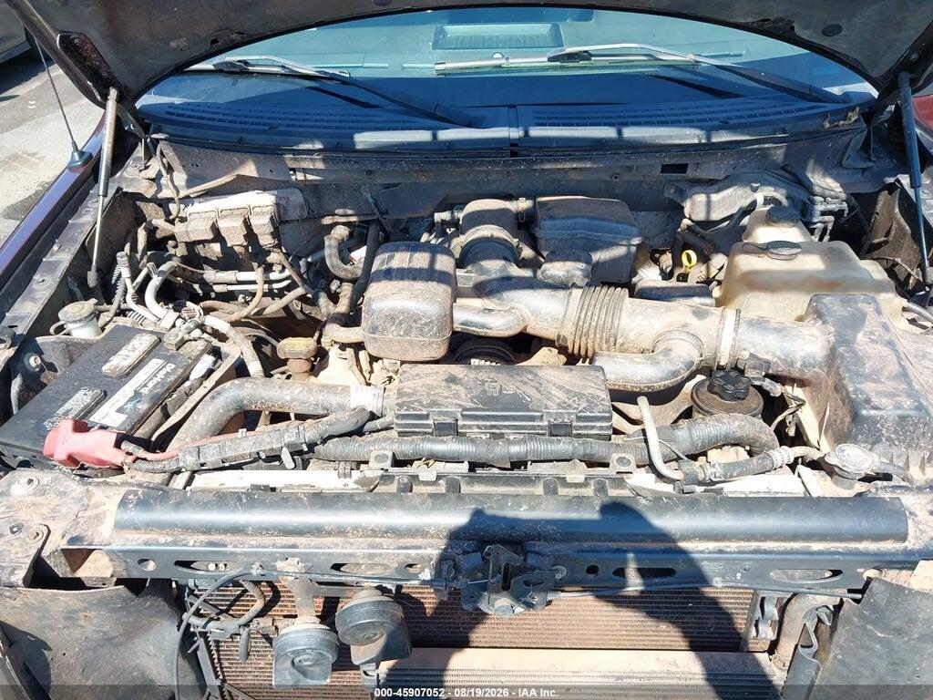 1FTFW1EV7AFD63350 2010 FORD F-150 photo no. 10