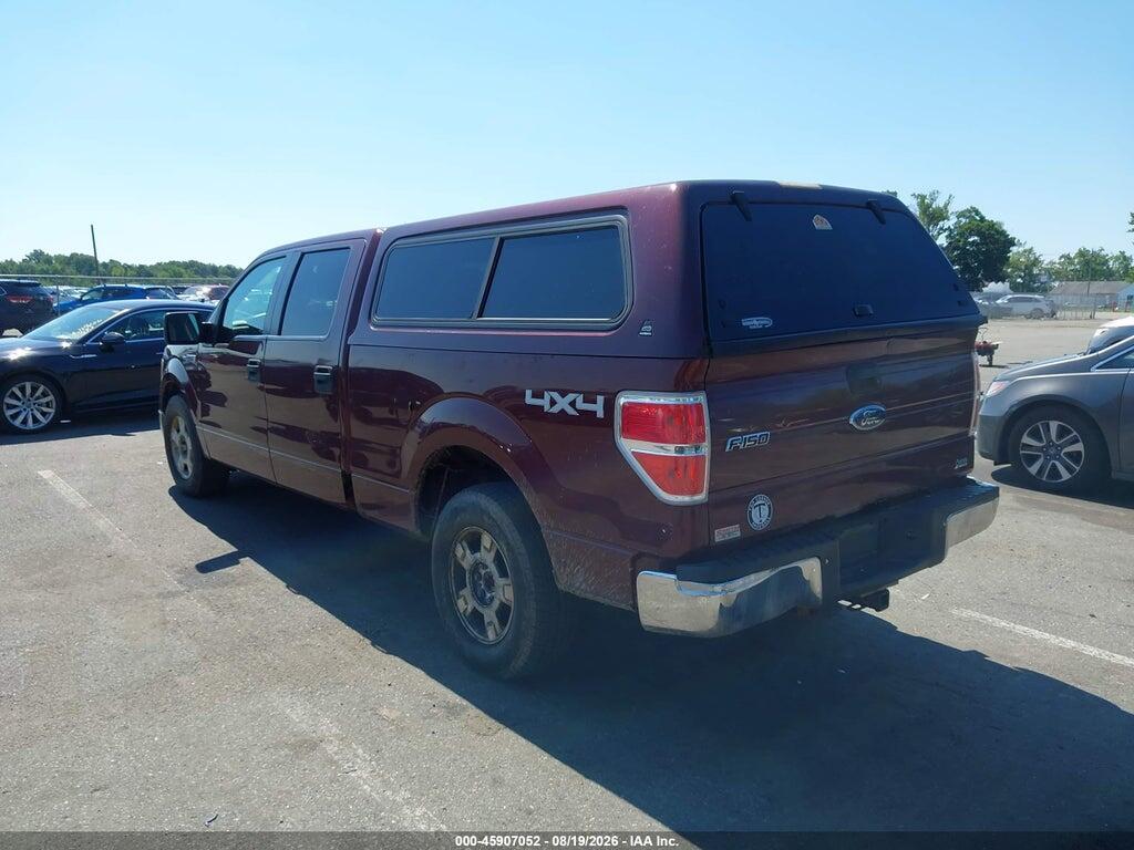 1FTFW1EV7AFD63350 2010 FORD F-150 photo no. 3